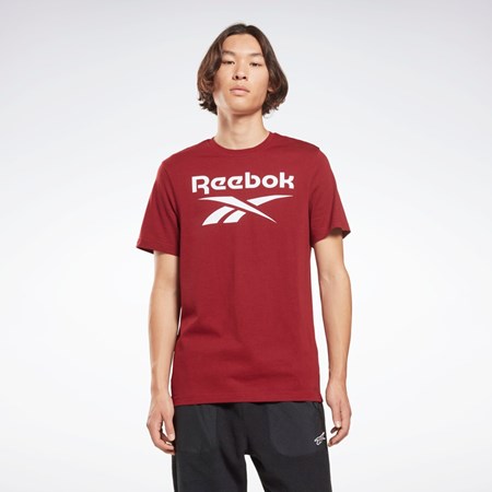 Reebok Reebok Identity Big Logo T-Shirt Viininpunainen | FDZCIG-792