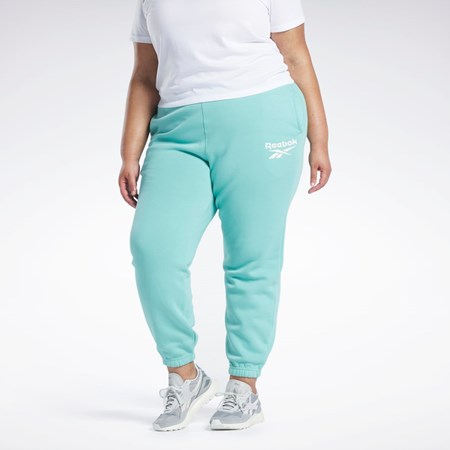 Reebok Reebok Identity Logo Fleece Joggers (Plus Size) Semi Classic Teal | IPCGHL-704