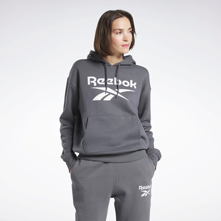 Reebok Reebok Identity Logo Fleece Pullover Hoodie Harmaat | HCWILE-076