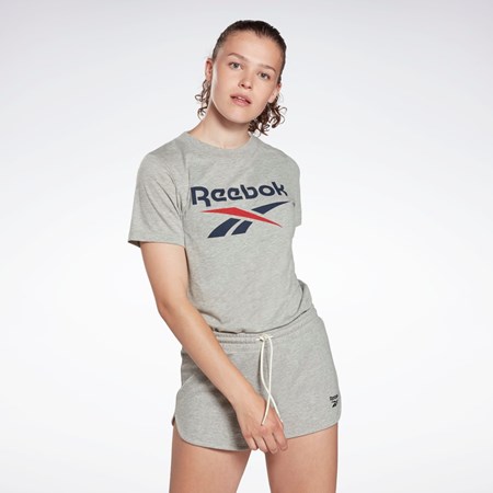 Reebok Reebok Identity Logo T-Shirt Harmaat | WHDTGM-834