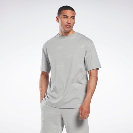 Reebok Reebok Identity Vector T-Shirt Harmaat | KXVHJB-685