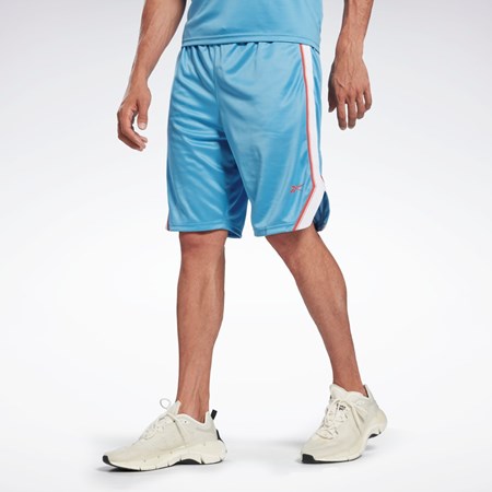 Reebok Workout Ready Mesh Shorts Sininen | FBMVLR-137