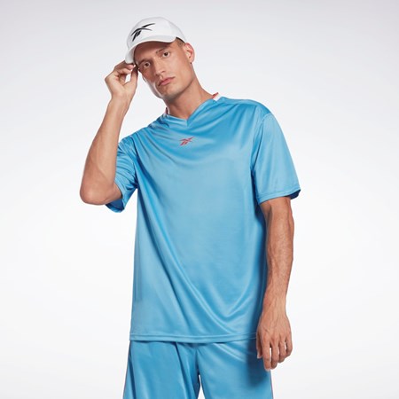 Reebok Workout Ready Mesh T-Shirt Sininen | NPKBYR-250