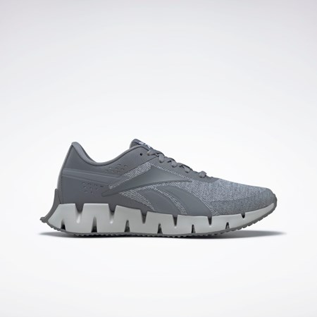 Reebok Zig Dynamica 2 Shoes Harmaat Harmaat Harmaat | BKUMXH-758