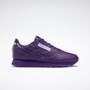 Violetit Violetit Violetit